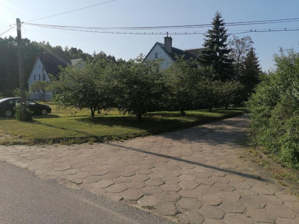 Przy Puszczy Bialowieskiej *