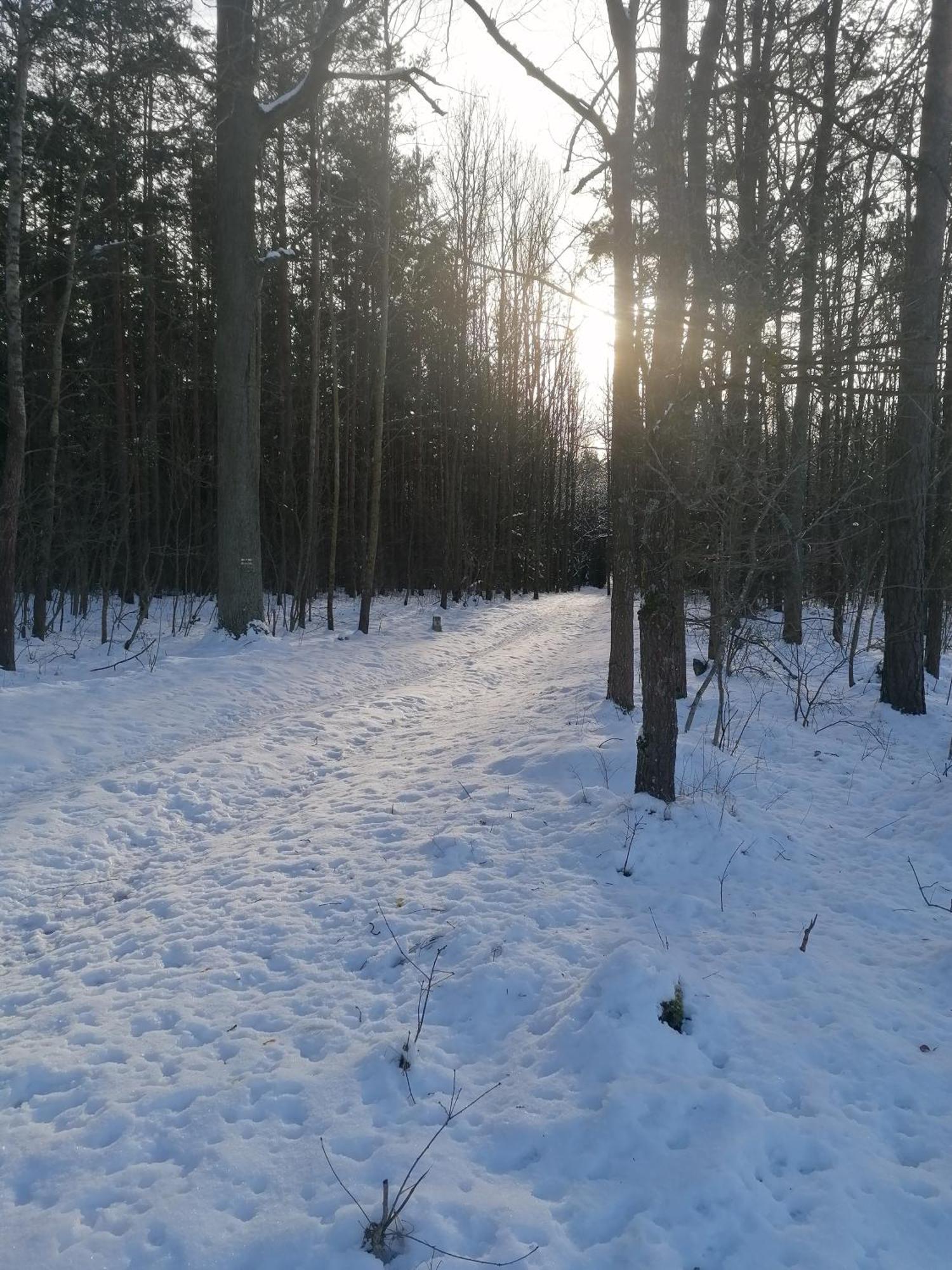 Przy Puszczy Bialowieskiej * Hajnowka
