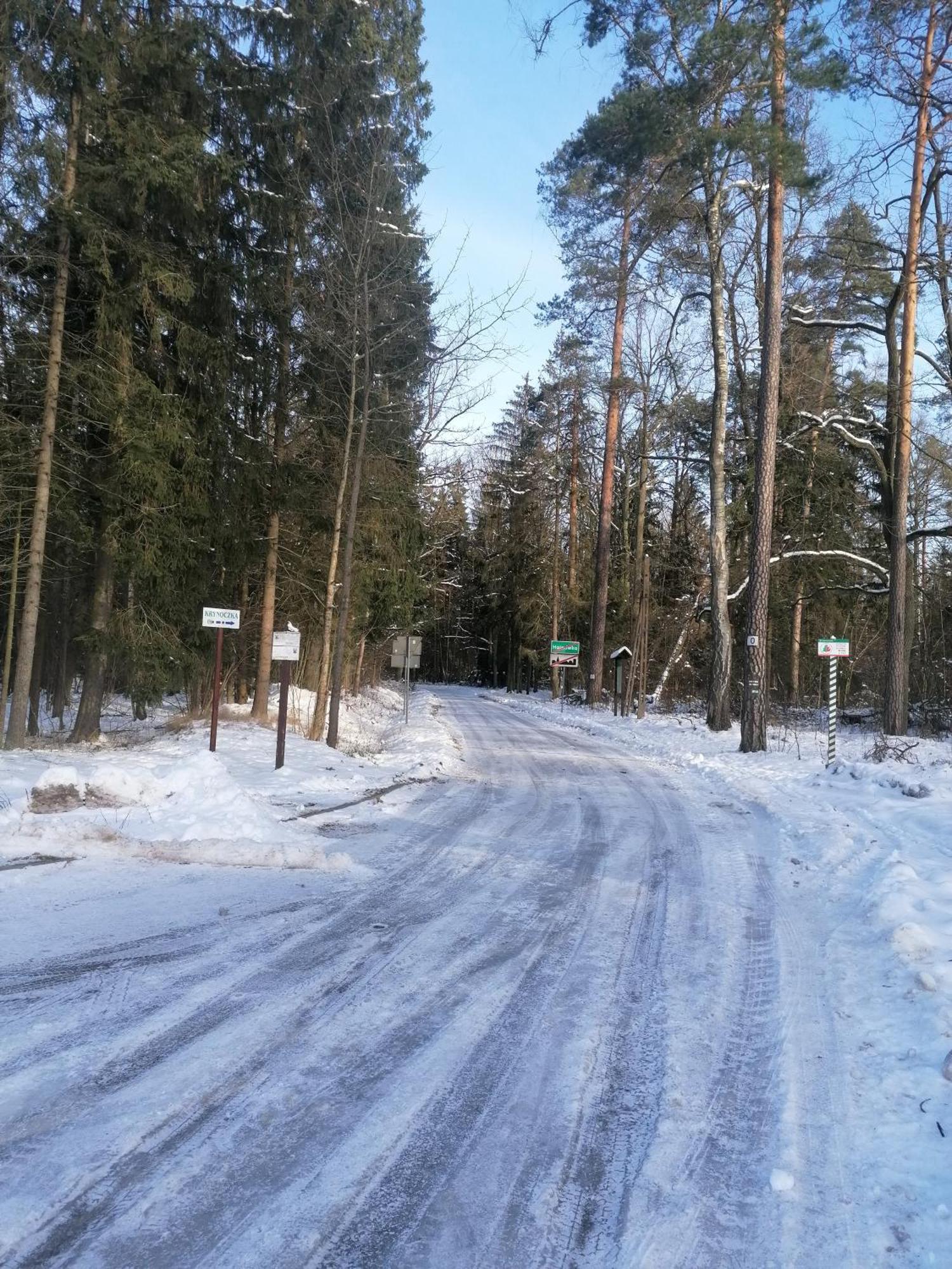 Przy Puszczy Bialowieskiej
